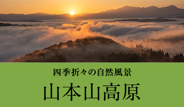 四季折々の自然風景　山本山高原