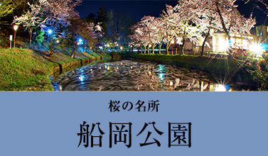 桜の名所　船岡公園 