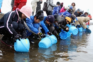 サケの稚魚を放流する児童の画像