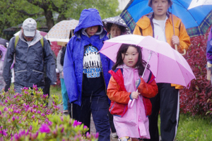 雨の中を歩く子どもの画像