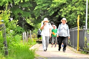 日吉の遊歩道を歩く参加者の画像