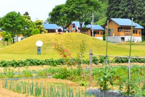 広場で遊ぶ家族連れの画像