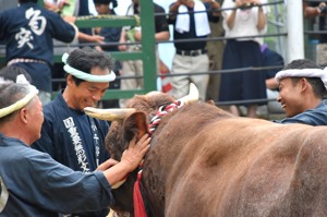 牛の健闘をたたえる勢子たちの画像