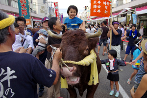 間近で闘牛と触れ合う来場者の画像