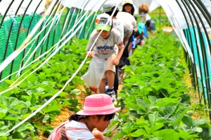 おぢやクラインガルテンふれあいの里ありがとう10周年感謝祭の画像②