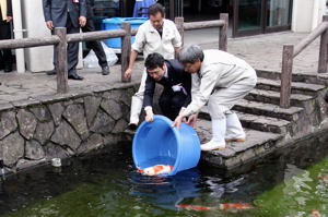 錦鯉を放流する米山知事の画像