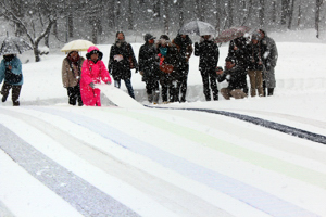 雪上に敷かれた小千谷縮の画像