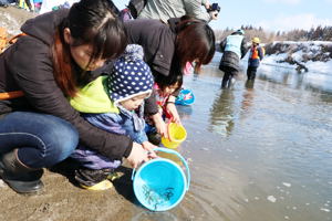 サケの稚魚を放流する親子の画像