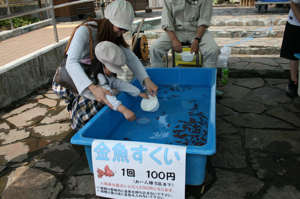 金魚すくいの画像