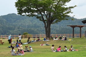 木陰で休憩する参加者の画像