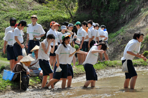 田んぼに裸足で入る生徒の画像