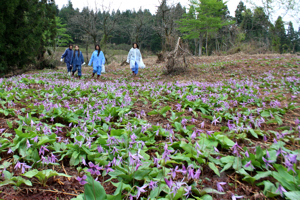 里山散策の画像