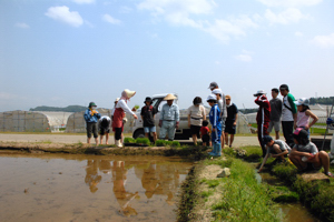 田植えの前に説明を聞く参加者の画像