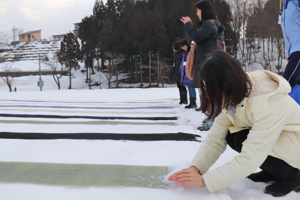 縮の端に雪を乗せている画像