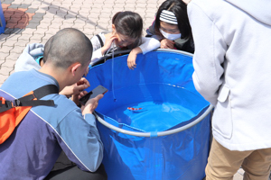 水槽を覗く家族の画像