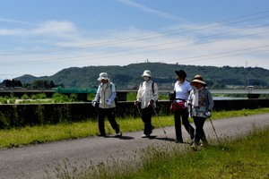 信濃川の土手沿いを歩く参加者の画像