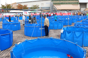 水槽がたくさん並べられた会場の画像