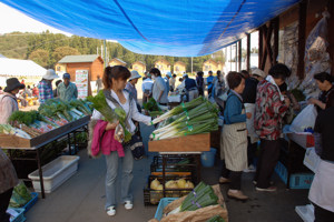 真剣に野菜を選ぶ女性の画像