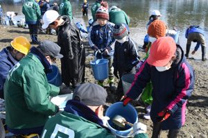 川辺と岸を何度も往復して放流する児童の画像