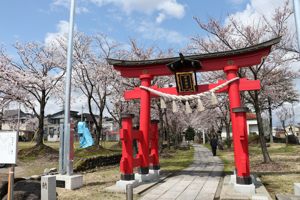 伊米神社の桜の画像