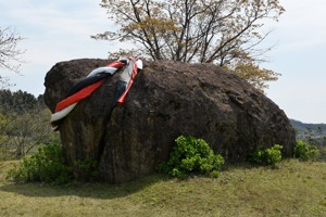 新しい面綱が飾られたみまもり岩の画像