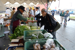 新鮮な野菜を販売している画像