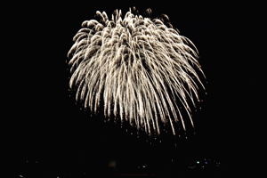 信濃川河川敷で打ち上げられた花火の画像