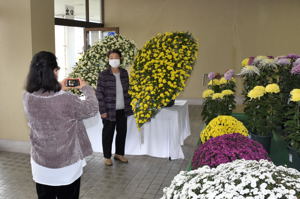 菊花の前で写真を撮る来場者の画像