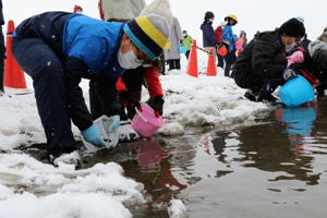 やさしくサケの稚魚を放流する児童の画像