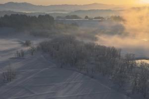 信濃川から立ち上がる朝の川霧の画像