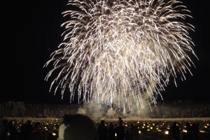 花火と花火を見る観客の画像