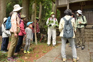 植物の説明を聞く参加者の画像