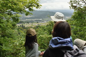 木々の間から見える景色を楽しむ参加者の画像