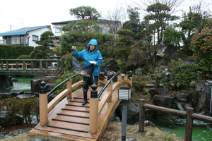 判別した鯉を所定の池に運ぶ画像