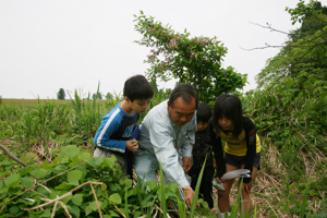 参加者の子どもに木の芽を教える様子の画像