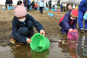 サケを放流する子どもたちの画像