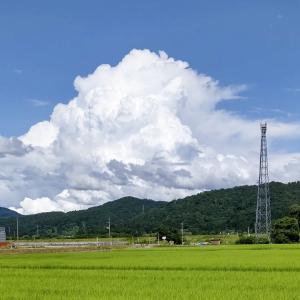 広報おぢや8月号のおぢフォトの画像