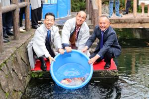 駐日カンボジア大使館による錦鯉放流の画像