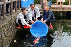 駐日スリランカ大使館による錦鯉放流の画像