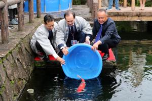 駐日キルギス大使館による錦鯉放流の画像