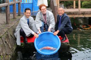 駐日スウェーデン大使館による錦鯉放流の画像