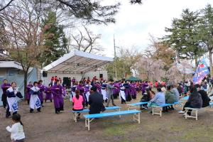 船岡公園桜まつりでよさこいを披露している画像