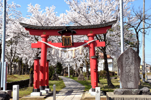 桜の画像