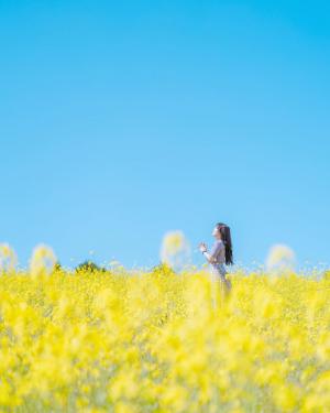 令和6年6月号のおぢフォトの画像