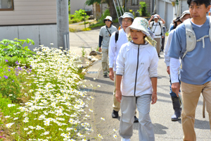 道端に咲く花を見ながら歩く参加者の画像