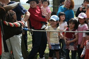 闘牛を間近でみる子どもたちの画像