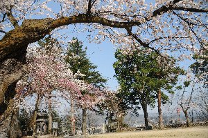 船岡公園の画像1