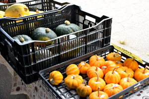 販売された野菜の画像