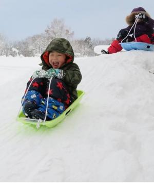 そり遊びの画像