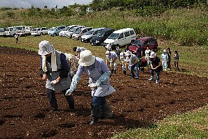 種を蒔く人たちの画像